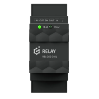RELAY X2 2HP DIN MODUŁ WYJŚĆ PRZEKAŹNIKOWYCH 2.0