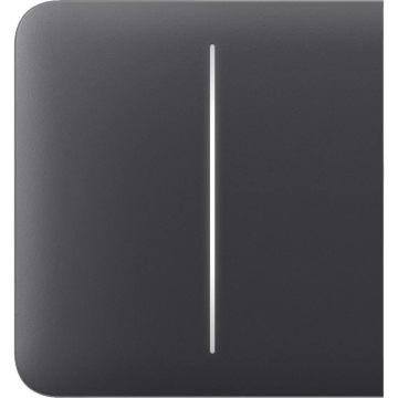 AJAX Button (graphite) SideButton (2-gang) Ajax