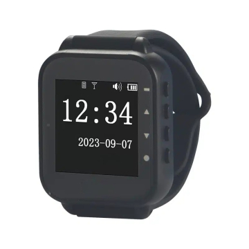 KLR-WW-V2 Wyświetlacz powiadomień Kaler Long Range