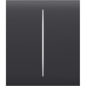 AJAX Button (graphite) CenterButton (2-gang)