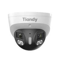Kamera IP Tiandy TC-C386V 4LHA-28 8 Mpx panoramiczna 180° AI 2,8 mm F1.0 IR LED 30 m PoE IP67