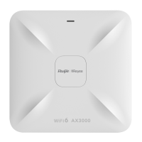 PUNKT DOSTĘPOWY RG-RAP2260