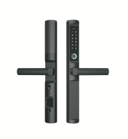 Inteligentny Zamek do Drzwi Akubela F2