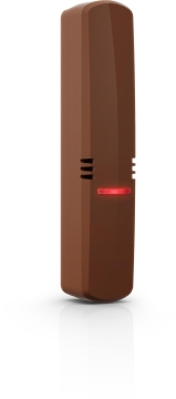 main