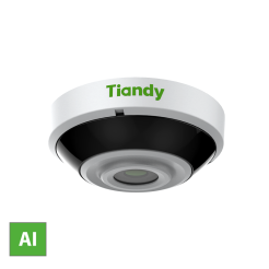 Kamera sieciowa IP Tiandy TC-A32P6 Liczenie ludności Seria Pro 